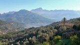 Son Mico - Muleta - Cap Gros